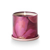 Oleander Oak
