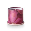 Oleander Oak