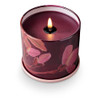 Oleander Oak