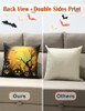 Halloween Pillow Covers