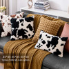 Black& White Cow