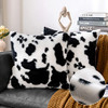 Black& White Cow