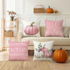 Pink Pumpkin