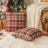 Red and Brown Plaid
