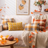 Orange Orange