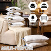 22x22 Indoor Pillow Inserts Set of 2 (Not Waterproof)