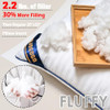 22x22 Indoor Pillow Inserts Set of 2 (Not Waterproof)