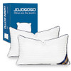 14x22 Indoor Pillow Inserts Set of 2 (Not Waterproof)