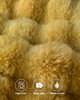 Bubble Dark Yellow