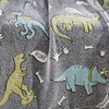 Grey Dino Friends