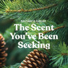 Balsam & Cedar
