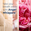 Angel Whispers