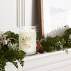 White Spruce & Grapefruit