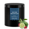 Silver Mountain