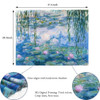 Waterlily 02