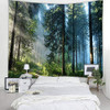 Morning Forest