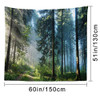 Morning Forest