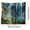 Morning Forest