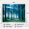 Forest White Light
