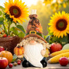 Fall Gnome Men