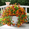 Orange Brown