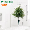 Green Pine