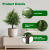 Green Pine