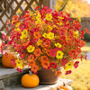 Redorangeyellow