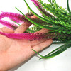 Pink, Green