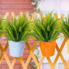 Boston Fern With Flowers