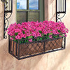 Rose Red