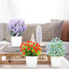 8 Pack Colorful Flower Plant With Pot
