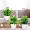 12 Pack Flower Plant With White Pot
