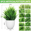 12 Pack Flower Plant With White Pot