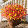 Orange, Autumn Red, Yellow