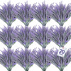 Gray Purple