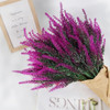 12-fuchsia