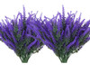 12-purple