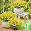 Bright Yellow