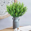 Green-eucalyptus