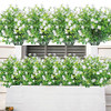 White-eucalyptus