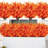 Orange-eucalyptus
