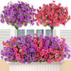 Fuchsia Purple