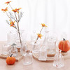 Clear-32pcs