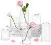 Transparent