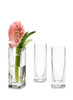 Set of 4 Vases