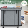 Grey-3 Section