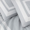 Silver/White