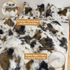 Cow Print Brown