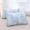 Blue Paisley